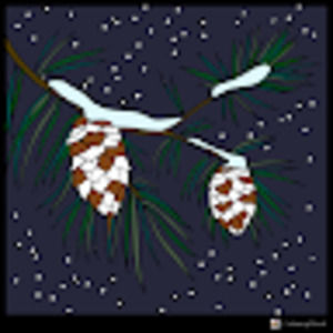 Meet your Posher, Lizzie